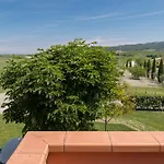 Acacia * Santa Luce