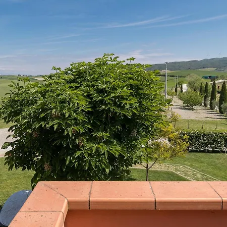 Acacia * Santa Luce